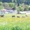 Hotel Alpenblick