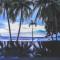 Café de Playa Beach Front Hotel - Coco