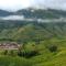 Mu Cang Chai Big view homestay - Sung Lu Chay