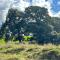 Garth- Stunning Scenic semi-rural Cottage with Games room