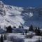 Rustic & A Chalet 'Le Sert du Grey - Vaujany - Vaujany