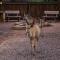 Sondela Nature Reserve & Spa Chalets