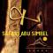 Safari Abu Simbel - 阿布辛贝