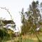 Libélula Glamping con jacuzzi