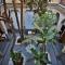 RIAD LOUDAYA AND SPA RIAD LOUDAYA AND SPA