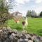 The Lazy Llama Shepherd Hut Campview Farm Stay
