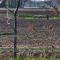 Westert Hoeve