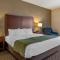 Comfort Inn Charlotte