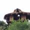 Taorayiná nature lodge- immersed in the forest - 埃尔扎伊诺