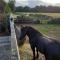 The Loft at Rock Cottage with hot tub - Garvagh