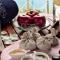 Hostal de la Gavina GL - The Leading Hotels of the World - 萨卡罗
