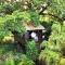 Tree Lodge Mauritius
