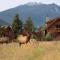 Anglers Paradise - Located on Lake Estes, Fireplace, Two Large Patios, and Private Jacuzzi