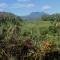 Pondok Lembah Dukuh Homestay