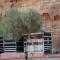 Arena Desert Camp & Adventurers Arena Desert Camp & Adventurers
