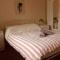 Luxury dog friendly cottage sleeps 4