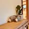 Grape Juice Retreat Rustic romantic gateway 5mins to beaches & town - مارغريت ريفر