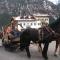 Hotel Ciamol