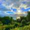 Rooms At Babbacombe