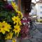 Albergo Alpenrose