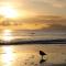 Pakiri Beach Holiday Park