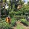 Tara Garden Sri Lanka - luxury colonial villa - Danwattegoda