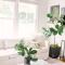 Guesthouse Charleston SOUTH 105 5
