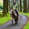 Foresters Retreat Glamping - Cambrian View- Vaccinated dogs over the age of 2 are accepted