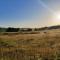 Welshhomestead - Tregaron