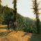 Wildflower Hall, An Oberoi Resort, Shimla Wildflower Hall, An Oberoi Resort, Shimla