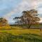 Beaudesert Mudgee - Kanimbla Guesthouse & Beaudesert Cottage - Mudgee