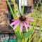 Harmony House Boutique B&B