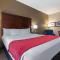 Comfort Suites Downtown Sacramento