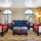Comfort Inn Edison - New Brunswick