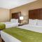 Comfort Inn Edison - New Brunswick