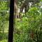 Monteverde Romantic Cabañas 5minutes mtv park