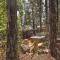 Hot Tub and Patio Pet-Friendly Cabin in Munds Park!