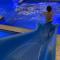 Aljood Resort