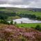 Mulberry Cottage with Wood Burner, Garden and Easy Parking