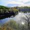 Les Fougères Du Lac - Saint-Plantaire