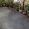 chandras Home