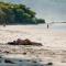 Nala Luxury Living - Santa Teresa - Costa Rica