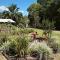 Pademelon Park BnB