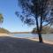 Riversands Rest Accommodation Paringa - River Box Cottage - Renmark