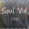 Soul Vie Stay - 朗塞斯顿