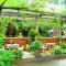 Lanna Thai Guesthouse