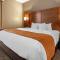 Comfort Suites Bethlehem Near Lehigh University and LVI Airport