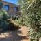 Domaine de Piscia - 菲加里