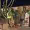 Domaine de Piscia - 菲加里