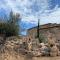 Domaine de Piscia - 菲加里